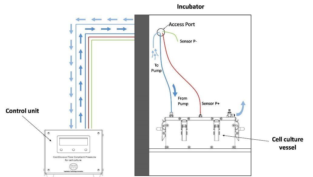 CD4 T-Cell quantification portable device