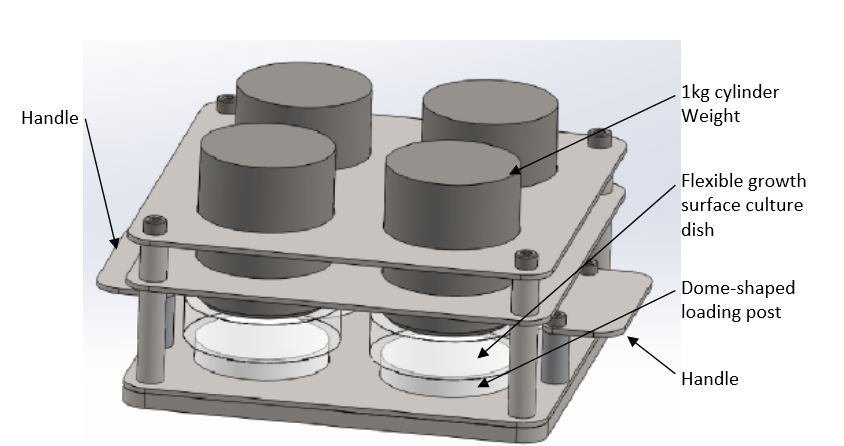 Microfluidic chip holder