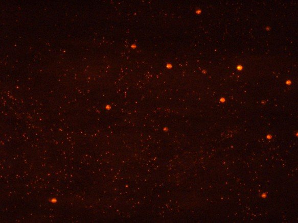 Laser micropumps — video analysis tools