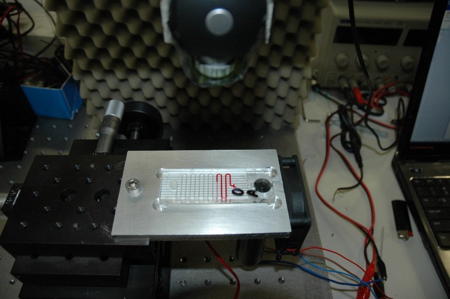 Centrifugal Point of Care systems